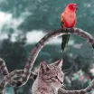 Hayvanlar Alemine Bakışınızı Değiştirecek 20 Photoshop Çalışması