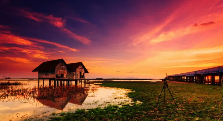 Fotoğrafta Doygunluk Nedir?