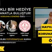 Hayvanları Koruma Günü’ne Özel %50 İndirim!